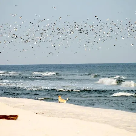 דירה White Pearl 2.10 *